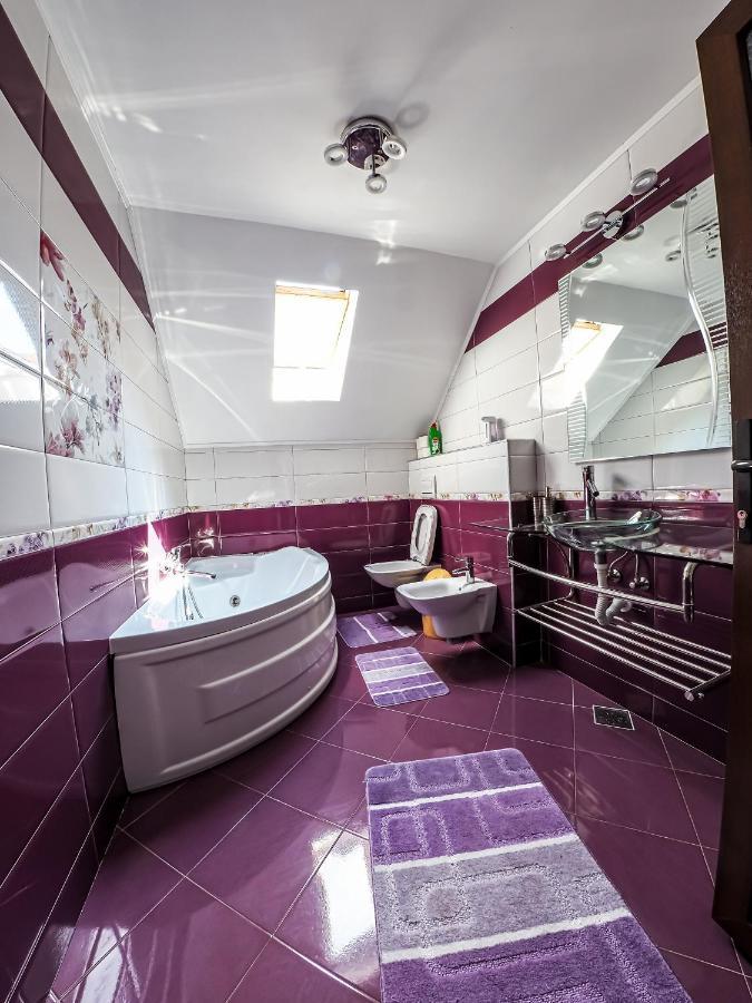 Casa Iulia Villa Pojorîta Buitenkant foto